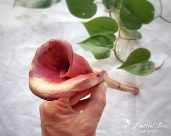 Calla Lily Flower All natural Hand carved Wooden Calla Lily 6 year Anniversary Flower Personalized Mothers Day gift for mom Forever Keepsake
