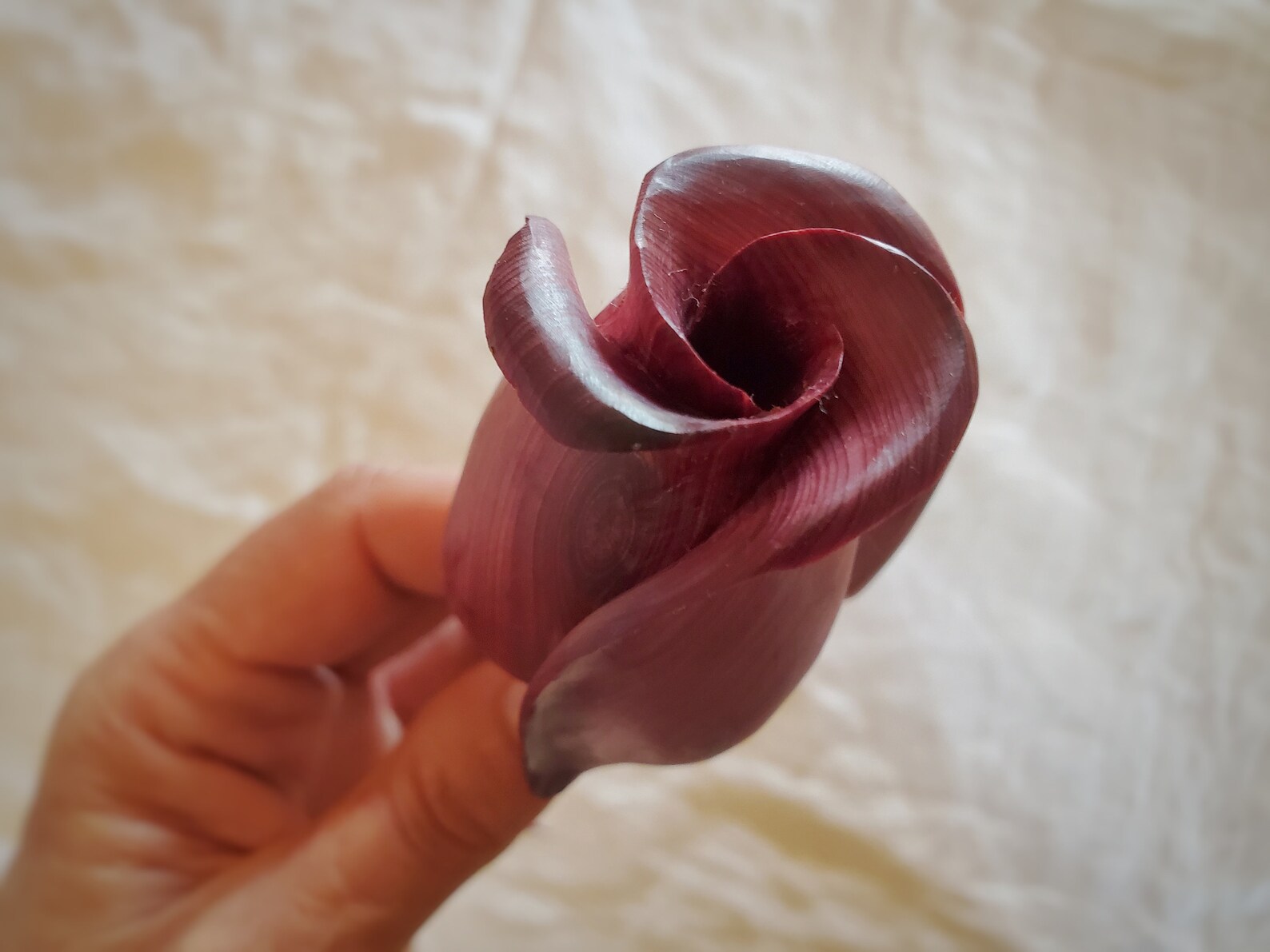 All Natural Wood Rose Hand Carved White Wooden Rose Eco Etsy