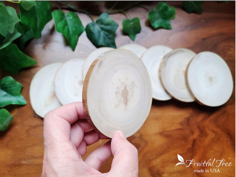 May include: A set of six natural wood round slices, ideal for crafting or decorating. The slices are smooth and have a light brown colour.