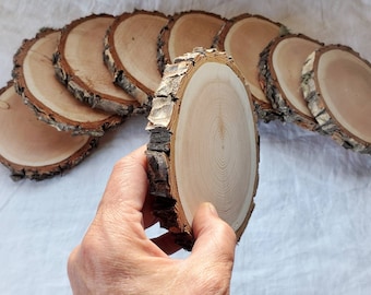 Large Tree Branch Slice, Natural Doug Fir Wood slice, Rustic wall hanging, Wedding decor, Rough Bark Tree Slice, Wood Round, DIY Wood Art