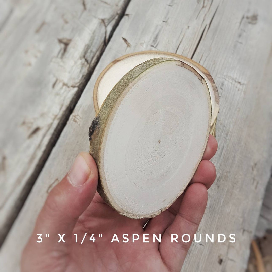 Thin Aspen Wood Round, 3