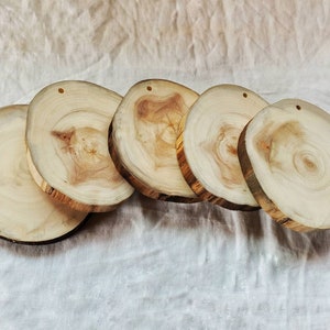Bulk 4.5" Large Tree Cookies, Aspen Wood Slices, Blank Wood for engraving, Small Round Wood slabs, Smooth Wood for Art, DIY Wedding Decor