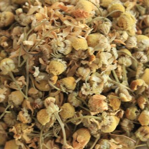 Teas2u Egyptian Organic Chamomile Flowers (Caffeine Free)