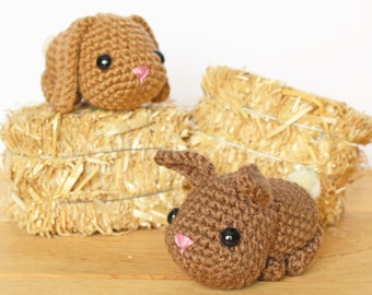 PATTERN: Walter & Theodore the Baby Bunnies Amigurumi, Crocheted Bunny Pattern, Rabbit Toy Tutorial, PDF Crochet Pattern, Chinese New Year