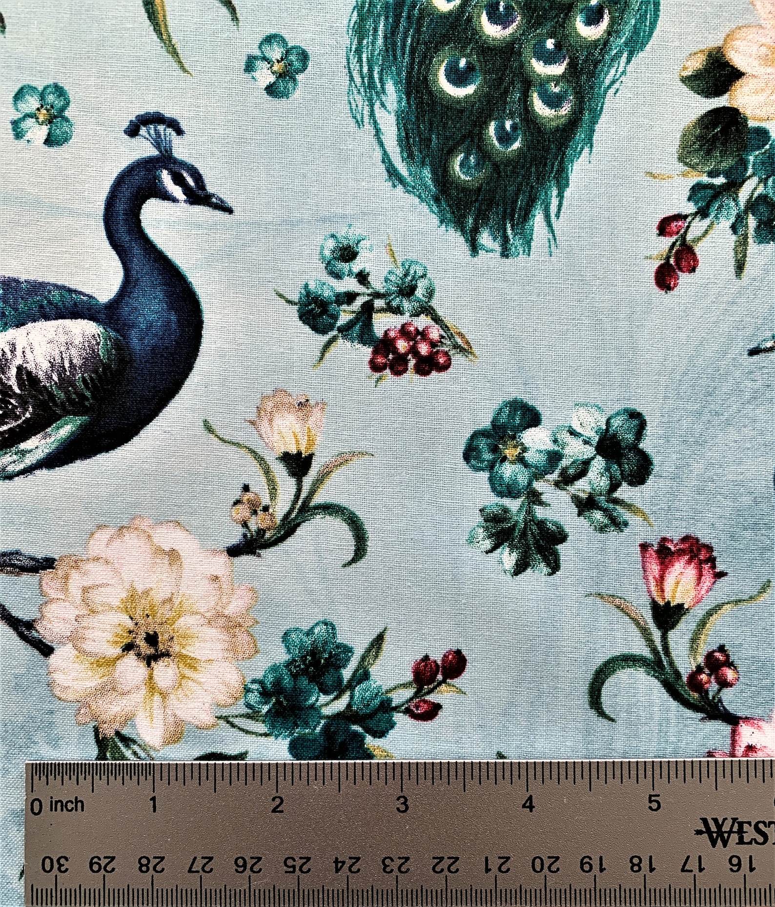 Feathered Peacock 100 Cotton Fabric by the Yard and Half Yard Etsy