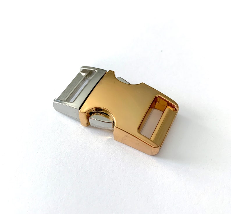 May include: A gold and silver metal buckle with a side release clasp. The buckle is designed for use on a dog collar or leash.