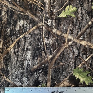 May include: Camouflage fabric featuring a detailed pattern of tree bark, branches, and green leaves. The fabric has a mix of brown, gray, and white tones, creating a realistic woodland effect. A ruler is placed at the bottom, showing measurements in inches.