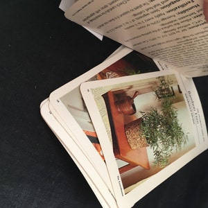 May include: A close-up of a plant card with a photo of a potted bamboo plant. The card is white with black text that reads "Bamboo Fern" and "The Greenery Collection, Vol. 1".