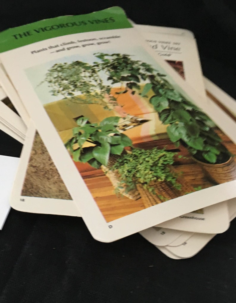 May include: A stack of cards with a green and white card on top. The card has the title "The Vigorous Vines" and the text "Plants that climb,  lean,  scramble -and grow, grow, grow!"