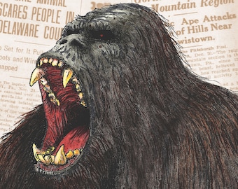 BIGFOOT in PENNSYLVANIA Buch - von Timothy Renner - Sasquatch - Kryptide - Wilde Männer - Paranormal