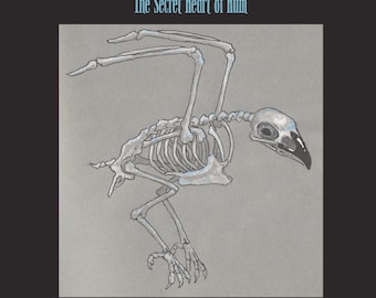 The Secret Heart of Hum – audio CD – folk – drone – dark ambient – experimental