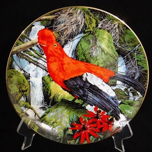 Decorative Tropical Bird Plate-Royal Cornwall Limited Edition by Konrad Hack