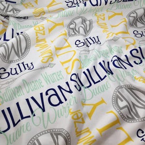 Personalized Baby Name Blanket, Custom Monogrammed Swaddle, Minky Fleece Gift imagem 2