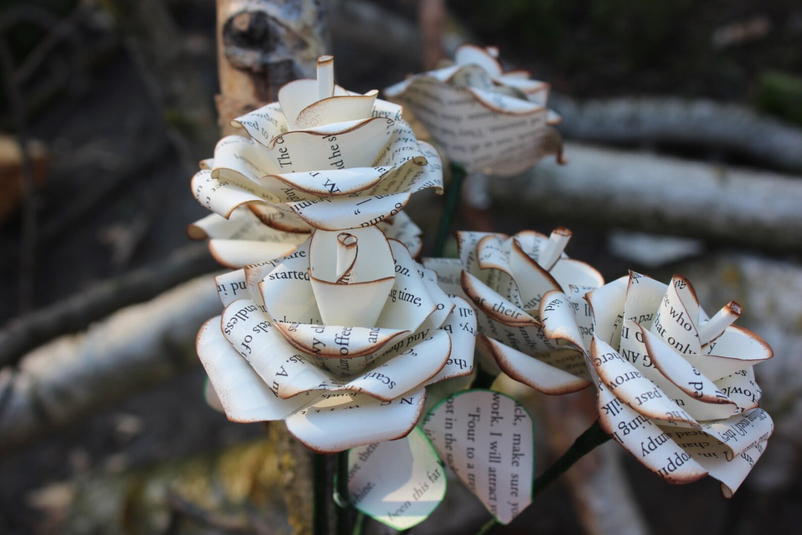 Custom Harry Potter Roses Single Rose Etsy