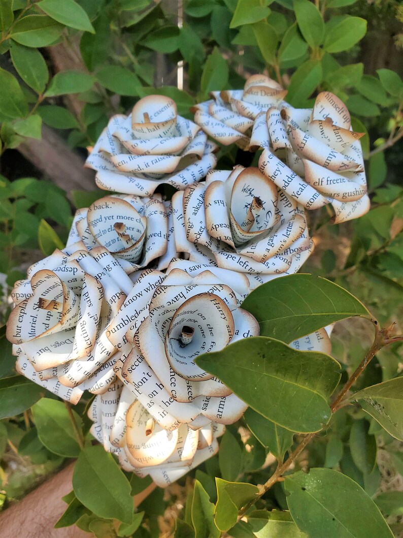 Custom Harry Potter Roses Single Rose Etsy