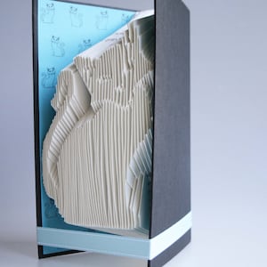 Peut inclure: Un livre en papier blanc avec un design 3D en pop-up représentant un chat. Le livre est ouvert et le pop-up est partiellement déployé. La couverture du livre est noire avec un ruban bleu. La quatrième de couverture du livre a un fond bleu avec un motif de chats noirs.