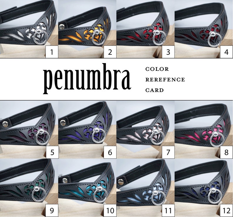 May include: Colour reference card for a leather collar with a decorative cut-out design. The collar is available in 12 different colours, including white, yellow, red, pink, purple, blue, green, and black.