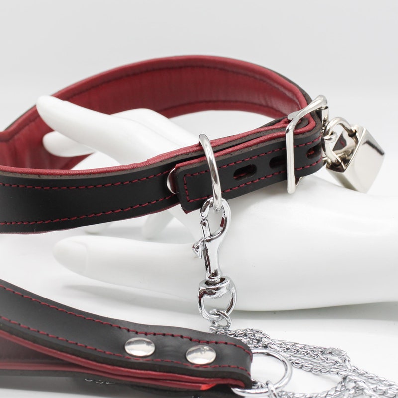 D Ring Collar - Etsy