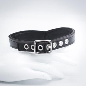 May include: A black leather collar with a silver buckle and multiple silver eyelets.