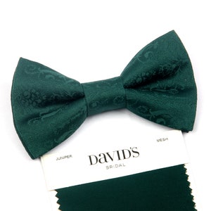 Juniper vintage jacquard satin man bow tie  green groomsman bow tie hunter green silk pocket square  DAVID&#39;S BRIDAL for boys ring bearers