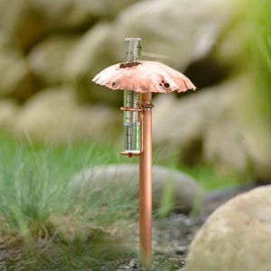 May include: A copper rain gauge with a decorative, mushroom-shaped top. The gauge has a clear, cylindrical tube for measuring rainfall, and is staked into the ground. The gauge is in a garden setting with green grass and rocks.