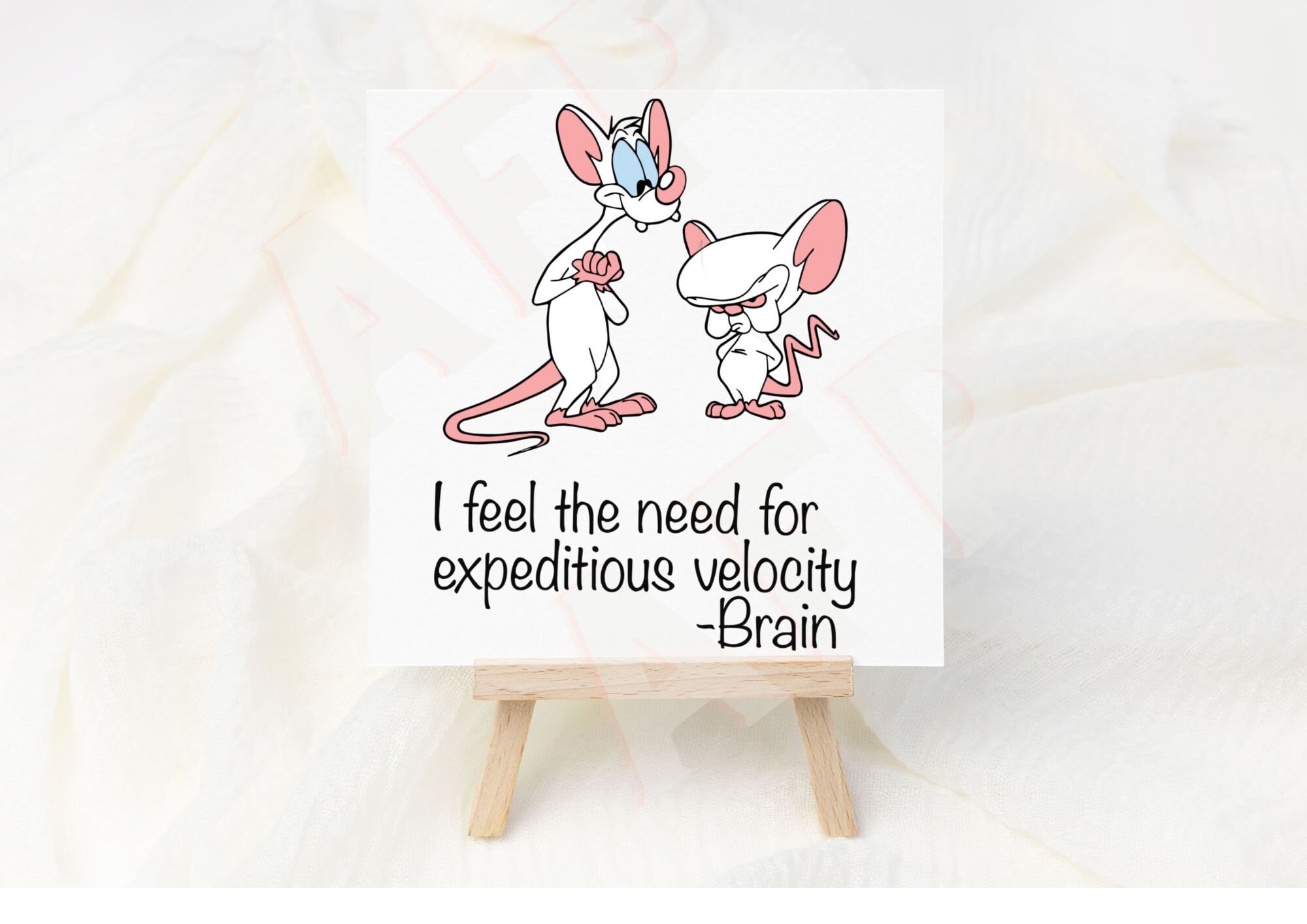 happy-birthday-pinky-and-the-brain