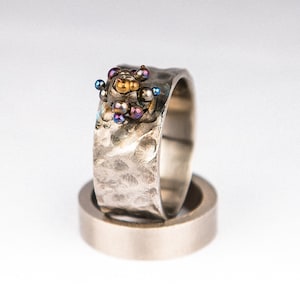 Goloka. Titanium ring. 2014