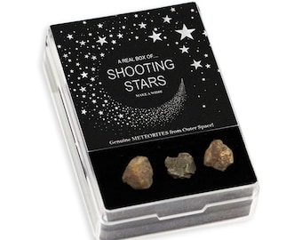 Shooting Star Meteorite Gift Pack - Iron Meteorites - Stone Meteorites