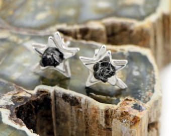 May include: A pair of silver star-shaped earrings with a black meteorite stone in the center of each star.