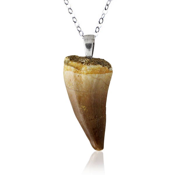 Pendentif fossile de dent de mosasaure - Argent sterling - Jurassic Park / Jurassic World - Collier fossile - Bijoux fossiles - Bijoux fossiles