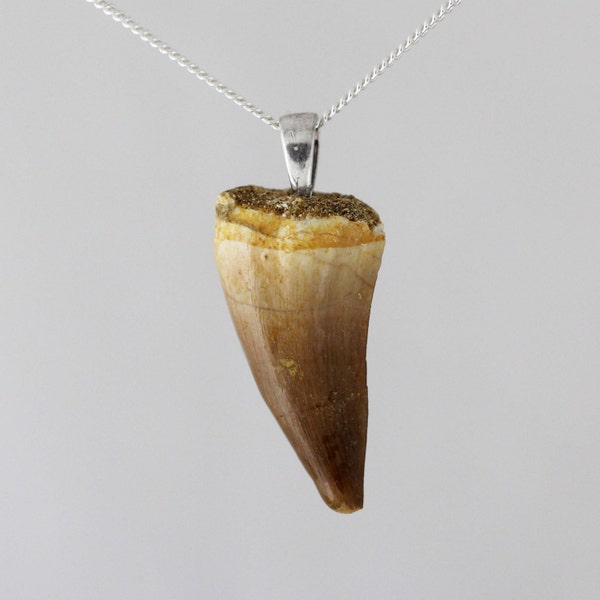 Mosasaur Tooth Fossil Necklace - Sterling Silver - Jurassic Park / Jurassic World - Fossil Pendant - Fossil Jewellery - Fossil Jewelry