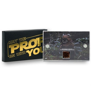 Original Wicket Ewok Fur Prop from Star Wars: Return of the Jedi (1983)