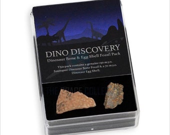 May include: A small black box with a clear plastic lid containing two dinosaur fossils. The box has a blue background with a silhouette of dinosaurs and the text "DINO DISCOVERY Dinosaur Bone & Egg Shell Fossil Pack This pack contains a genuine 150 m.y.o. Sauropod Dinosaur Bone Fossil & a 70 m.y.o. Dinosaur Egg Shell."