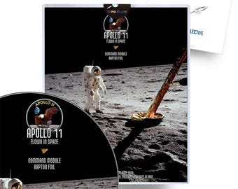 NASA Apollo 11 Flown Kapton Foil - Flown in Space