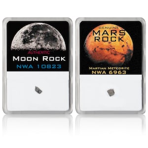 Lunar and Martian Meteorite Bundle (Medium Size)