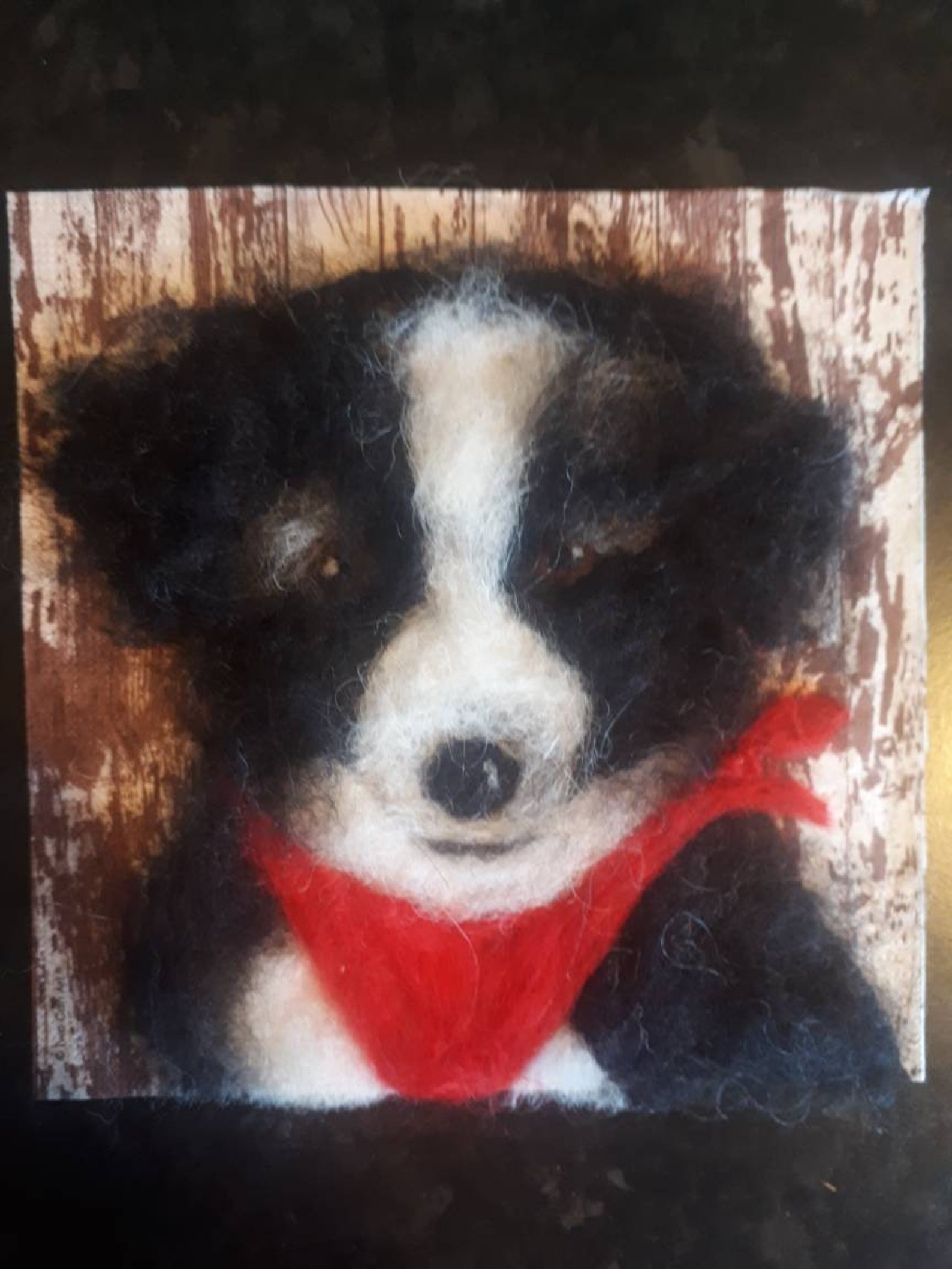 Needle felt Cute Border collie puppy pictureFramed Wool art Etsy