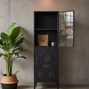 May include: Black metal cabinet with glass door, open to reveal a shelf with a brown paper bag and a mug. The cabinet has a round vent and a small label. A large potted plant sits to the left, and a pink rug is on the floor.