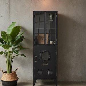 May include: Black metal cabinet with glass doors, featuring the number "52" on the top. The cabinet has a round vent and a small handle. A large potted plant in a woven basket sits to the left.