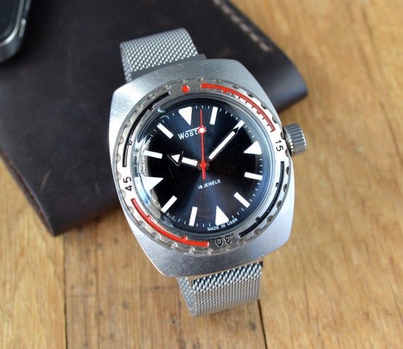 Amphibia watch store