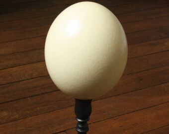 Mounted on ostrich egg
