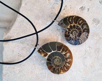 Ammonite Pendant. Leather choker necklace, for man and woman, with natural Ammonite fossil pendant. Couple necklace. Couple gifts.