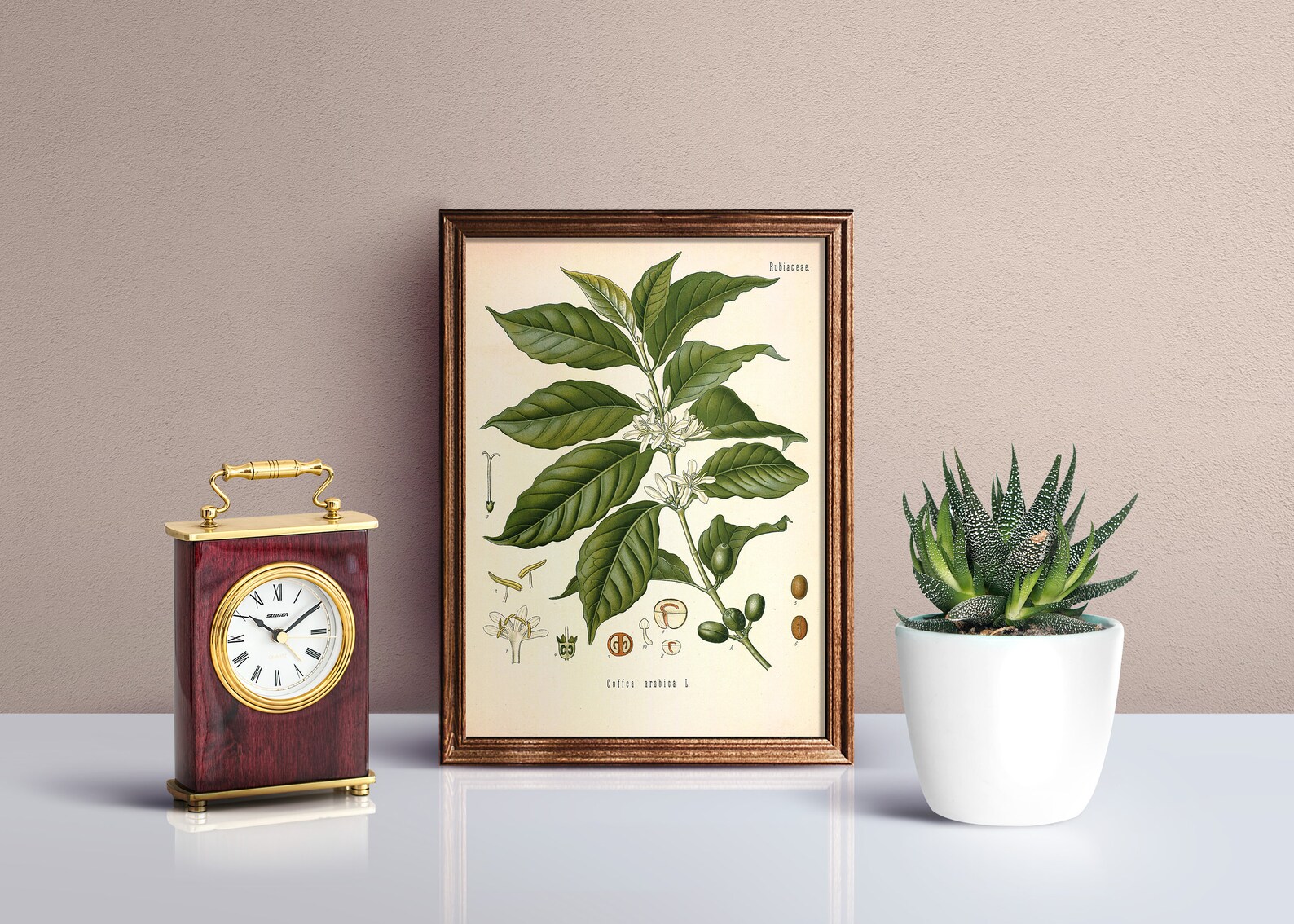 Vintage Coffee Plant Printable, Coffee Plant Instant Download, Kitchen