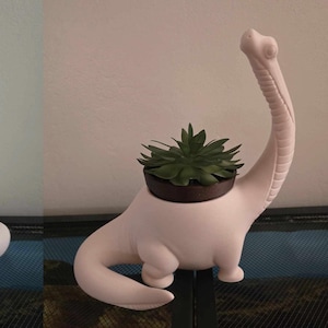 Puede incluir: Dos macetas de dinosaurio de cerámica blanca con plantas suculentas verdes en su interior. Los dinosaurios están de pie sobre una superficie oscura.