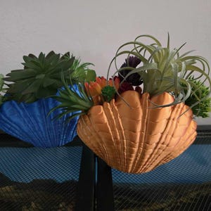 Sea Shell Vase - Coastal Decor
