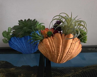 Sea Shell Vase - Coastal Decor