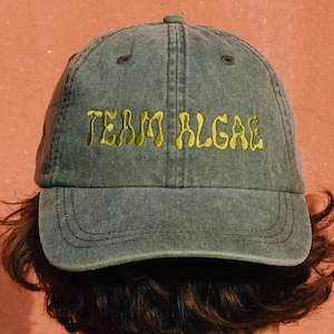 Könnte beinhalten: Eine anthrazitfarbene Baseballkappe mit gebogenem Schirm und sechs Paneelen. Der Schriftzug "TEAM ALGAE" ist in einer leuchtend gelben, wellenförmigen Schrift auf die beiden vorderen Paneele der Kappe mit verwaschener Optik gestickt.