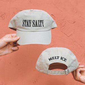 Cappello "Stay Salty Melt ICE" / Cappello di protesta "Abolish ICE" / Regalo per attivisti per i diritti degli immigrati / Dichiarazione di giustizia sociale / Cappello progressista liberale