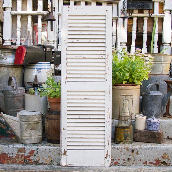 Antique White Shutter Door, Single Vintage Shutter, Old Distressed and Shabby, One Tall Long Louvered Shutter, Outdoor Rustic Home Decor