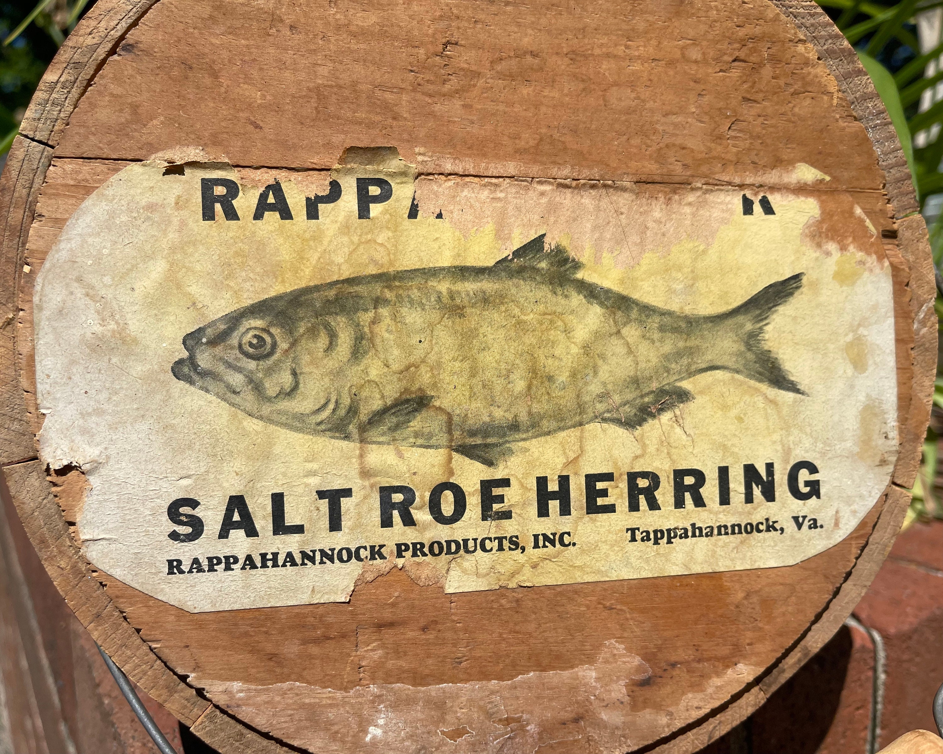 Antique Wooden Fish Bucket TAPPAHANNOCK Virginia Rappahannock picture