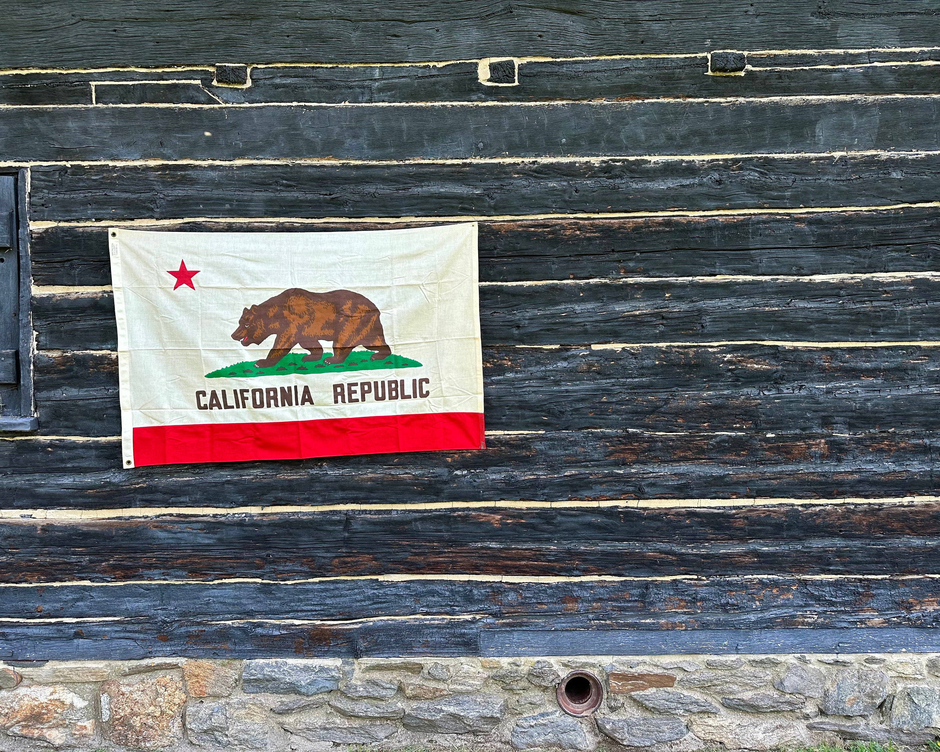 Vintage California Republic Bear Flag: Worn CA Wall Decor (4.5 Ft